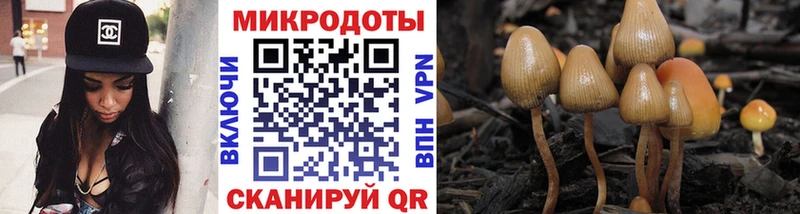 Купить закладки  Инза  Псилоцибиновые грибы мицелий 