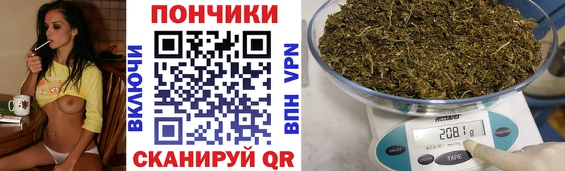 Купить где Инза Каннабис ГИДРОПОН